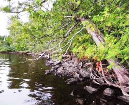 27 Wilderness Trail, Hovland, MN 55606