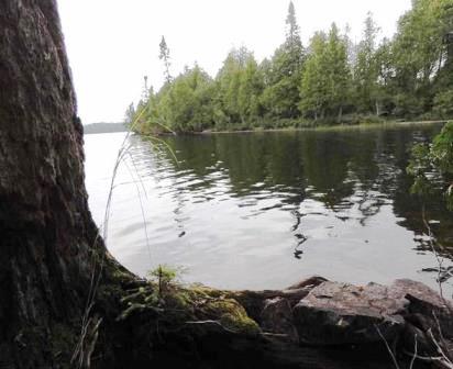 27 Wilderness Trail, Hovland, MN 55606