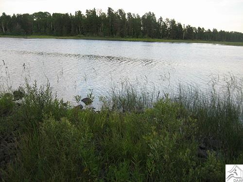 TBD Highway 1, Isabella, MN 55607
