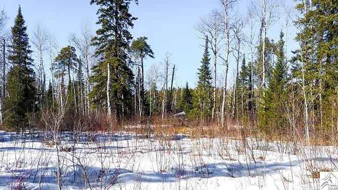 TBD Highway 1, Isabella, MN 55607