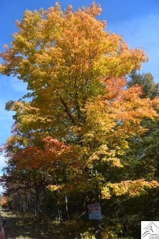 XXX Olson Rd, Two Harbors, MN 55616