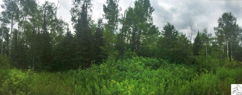 XXX Olson Rd, Two Harbors, MN 55616