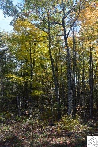 XXX Olson Rd, Two Harbors, MN 55616