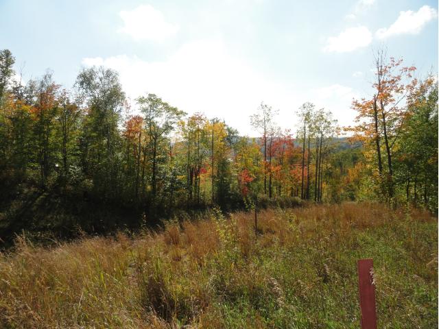 6670 Voyageurs Trail, Biwabik, MN 55708