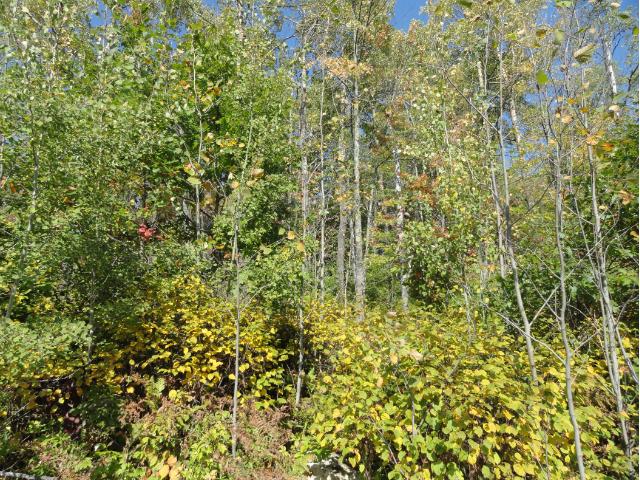 6670 Voyageurs Trail, Biwabik, MN 55708