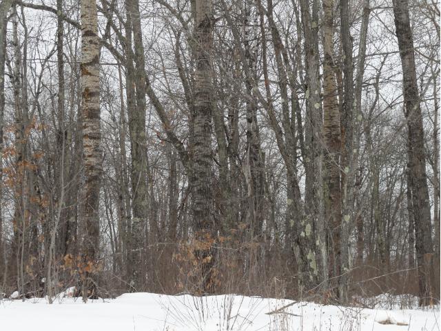 6662 Voyageurs Trail, Biwabik, MN 55708