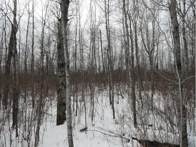 6697 Voyageurs Trail, Biwabik, MN 55708