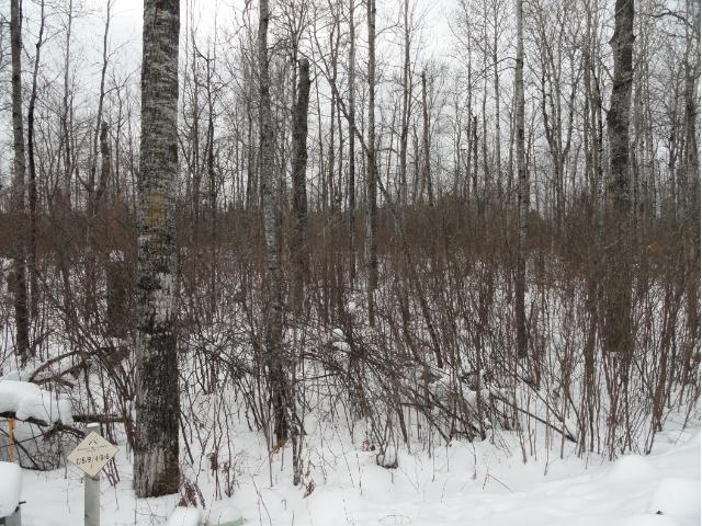 6697 Voyageurs Trail, Biwabik, MN 55708