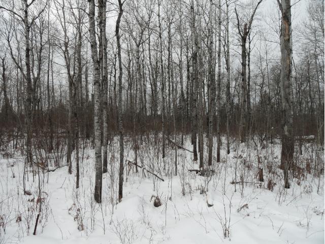 6697 Voyageurs Trail, Biwabik, MN 55708