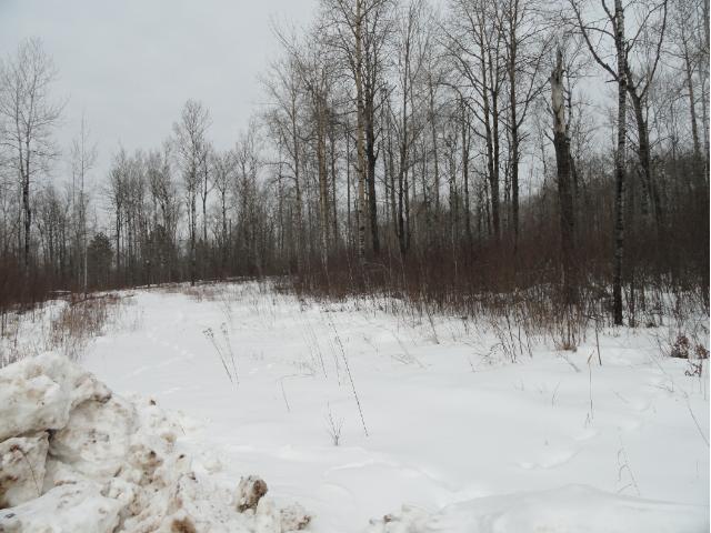 6697 Voyageurs Trail, Biwabik, MN 55708