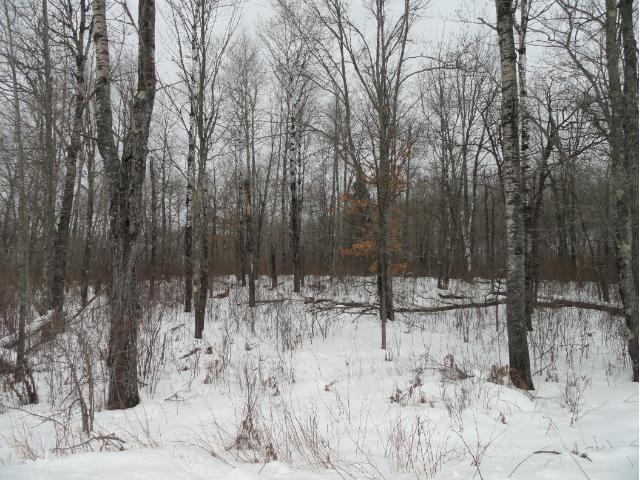 6688 Voyageurs Trail, Biwabik, MN 55708
