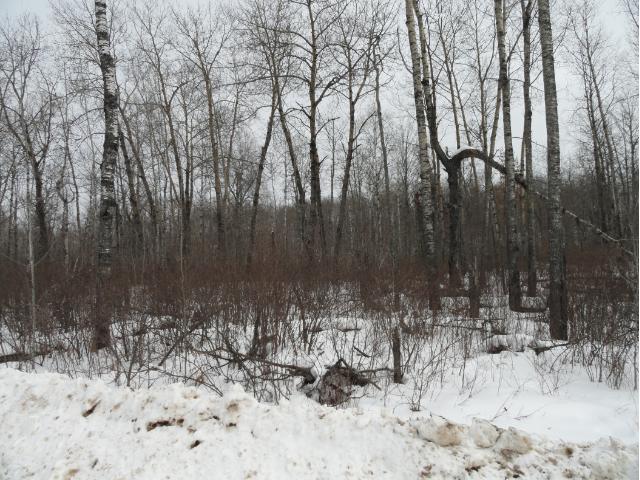 6688 Voyageurs Trail, Biwabik, MN 55708