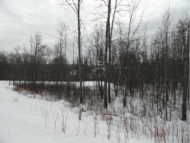 6685 Voyageurs Trail, Biwabik, MN 55708