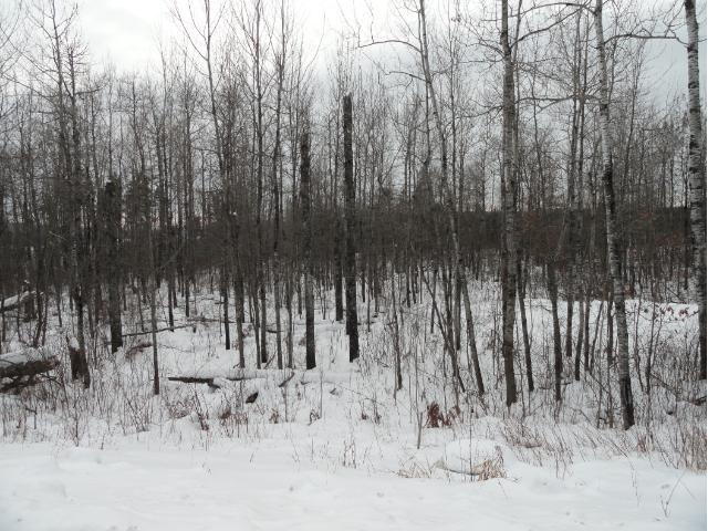 6685 Voyageurs Trail, Biwabik, MN 55708