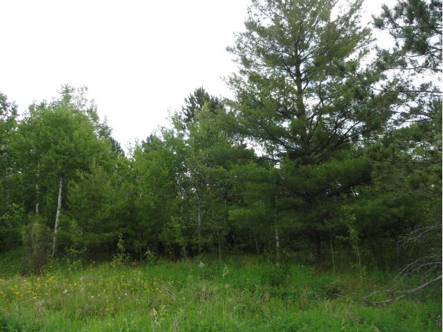 5928 Voyageurs Trail, Biwabik, MN 55708