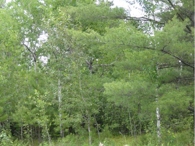 5928 Voyageurs Trail, Biwabik, MN 55708