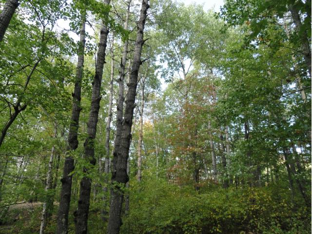 6641 Voyageurs Trail, Biwabik, MN 55708