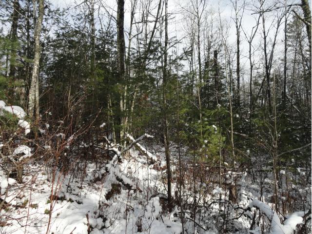 6038 Voyageurs Trail, Biwabik, MN 55708