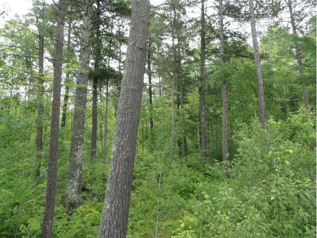 6038 Voyageurs Trail, Biwabik, MN 55708