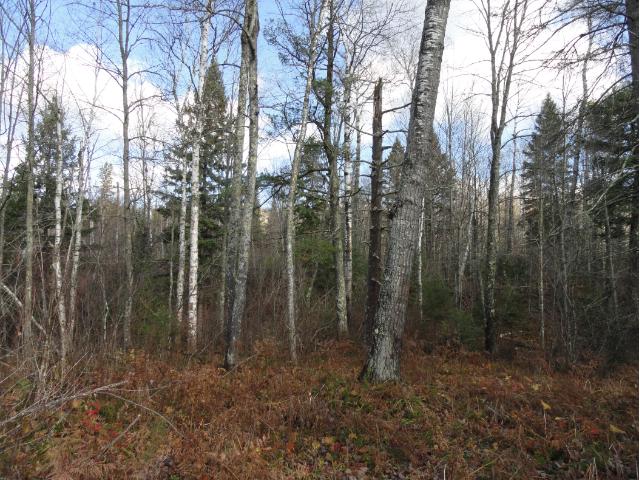 6272 Voyageurs Trail, Biwabik, MN 55708