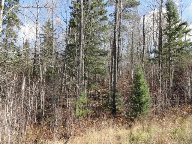 6272 Voyageurs Trail, Biwabik, MN 55708