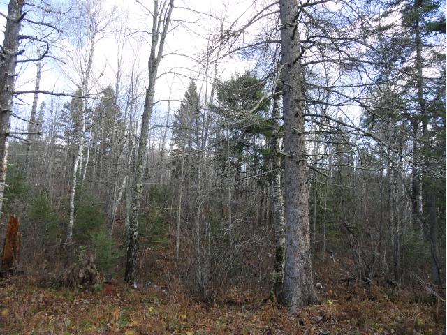6272 Voyageurs Trail, Biwabik, MN 55708