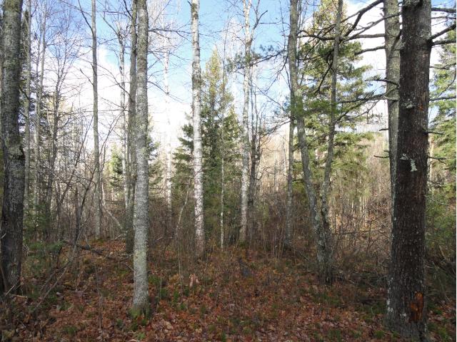 6272 Voyageurs Trail, Biwabik, MN 55708