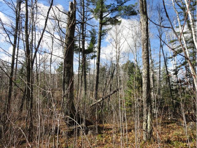 6278 Voyageurs Trail, Biwabik, MN 55708
