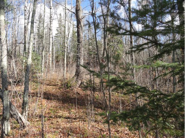 6278 Voyageurs Trail, Biwabik, MN 55708