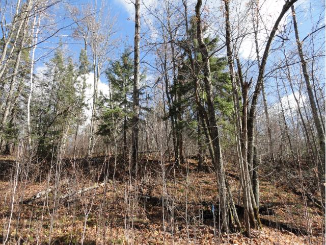 6278 Voyageurs Trail, Biwabik, MN 55708
