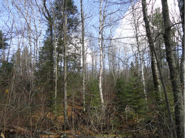 6264 Voyageurs Trail, Biwabik, MN 55708