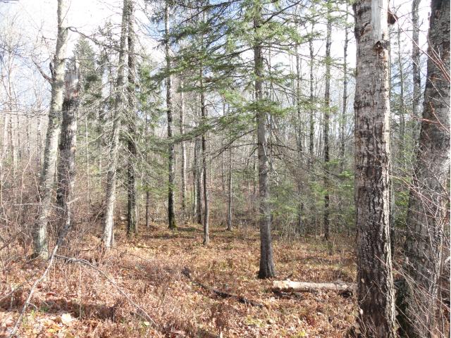 6264 Voyageurs Trail, Biwabik, MN 55708