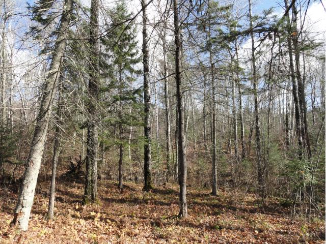 6264 Voyageurs Trail, Biwabik, MN 55708