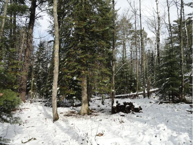 6052 Voyageurs Trail, Biwabik, MN 55708