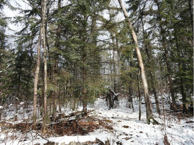 6052 Voyageurs Trail, Biwabik, MN 55708