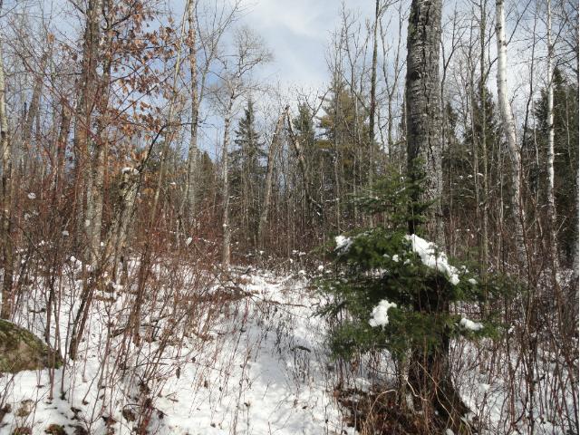 6052 Voyageurs Trail, Biwabik, MN 55708