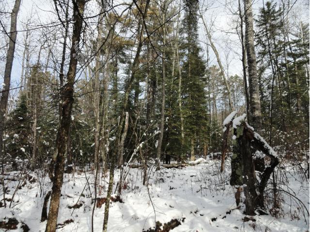 6052 Voyageurs Trail, Biwabik, MN 55708