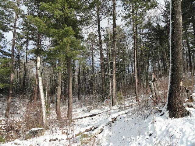 6032 Voyageurs Trail, Biwabik, MN 55708