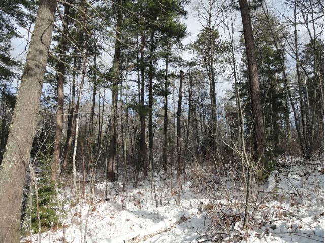 6032 Voyageurs Trail, Biwabik, MN 55708