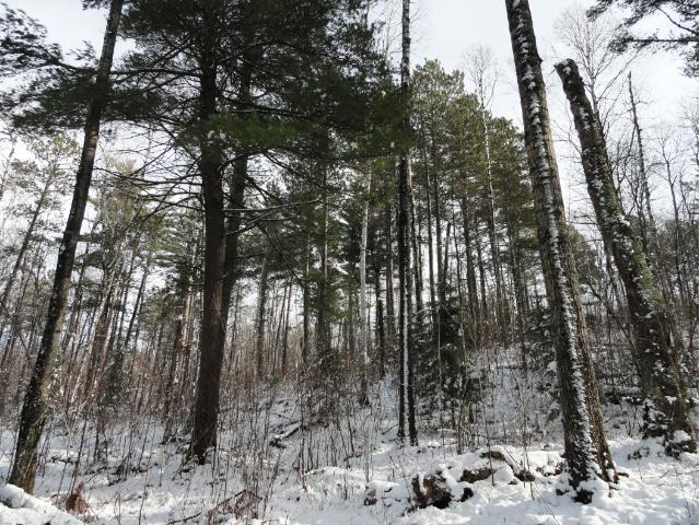 6032 Voyageurs Trail, Biwabik, MN 55708