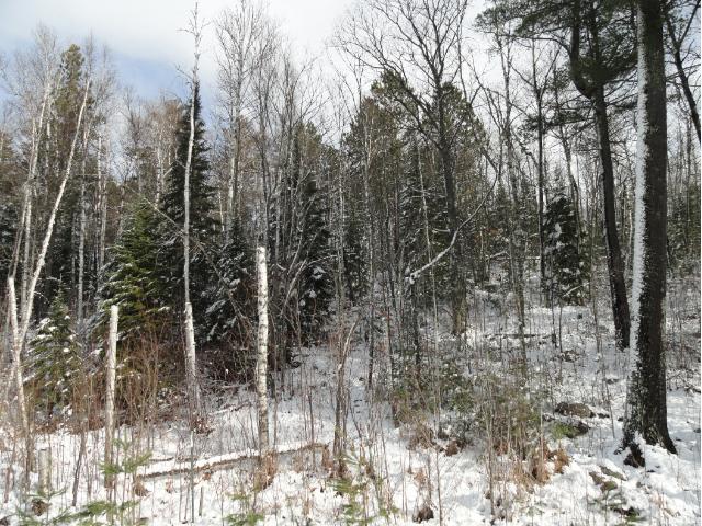6022 Voyageurs Trail, Biwabik, MN 55708