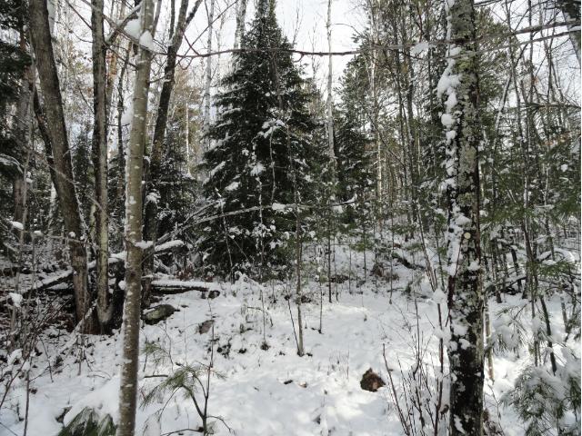 6022 Voyageurs Trail, Biwabik, MN 55708