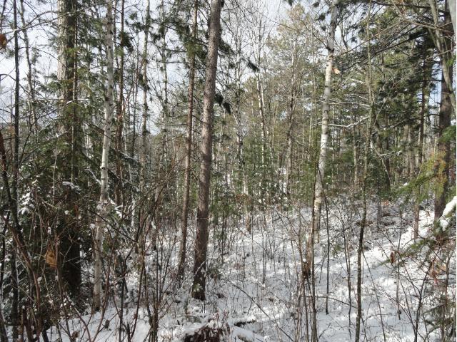 6022 Voyageurs Trail, Biwabik, MN 55708