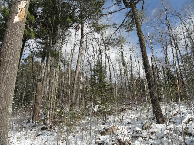 6014 Voyageurs Trail, Biwabik, MN 55708