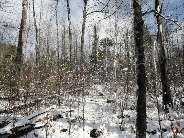 6014 Voyageurs Trail, Biwabik, MN 55708