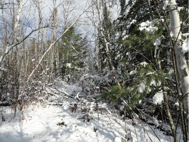 6014 Voyageurs Trail, Biwabik, MN 55708