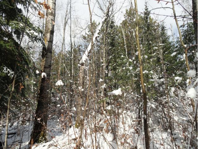 6014 Voyageurs Trail, Biwabik, MN 55708