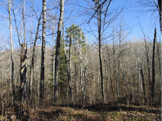 6120 Voyageurs Trail, Biwabik, MN 55708