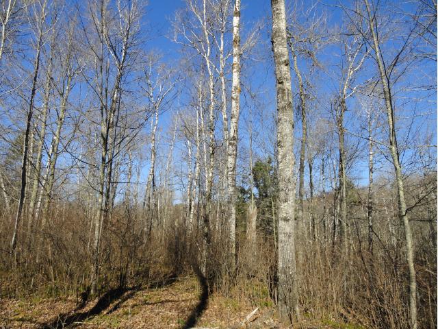 6120 Voyageurs Trail, Biwabik, MN 55708