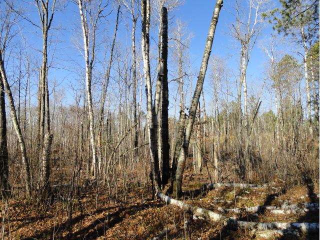 5618 Birchbark Landing, Biwabik, MN 55708